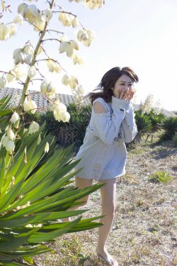 百炼成神动漫在线播放